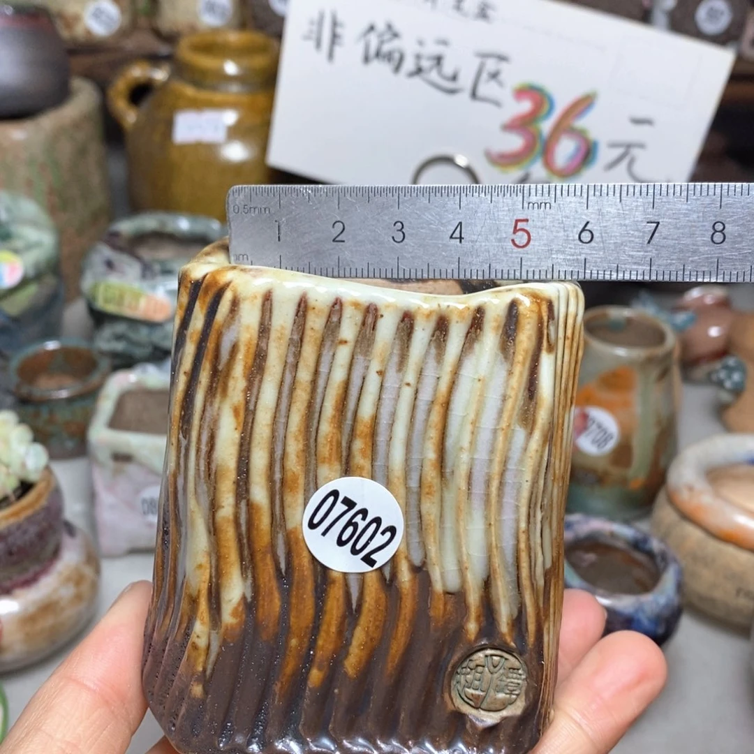 花盆拍3送一个小礼物