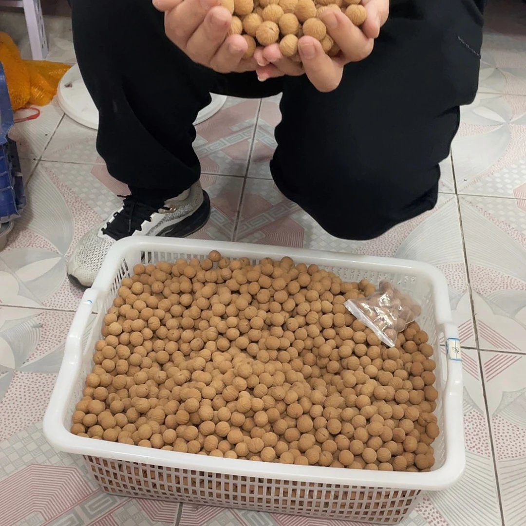 凤羽9.9侧线的边