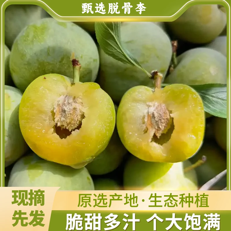 正宗四川新鲜应季脱骨青脆奈李酸甜可口LT