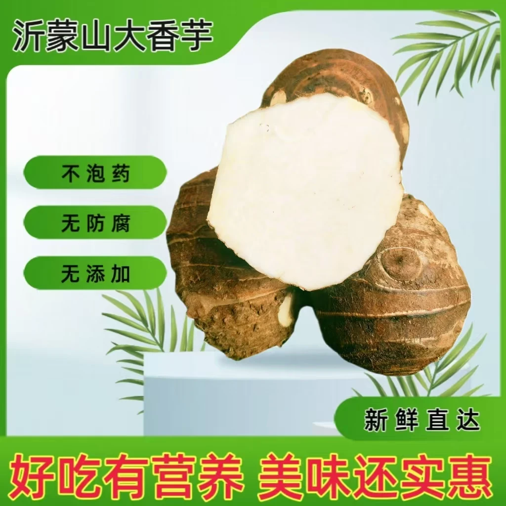 【浮力款】山东沂蒙山大香芋  产地新鲜发