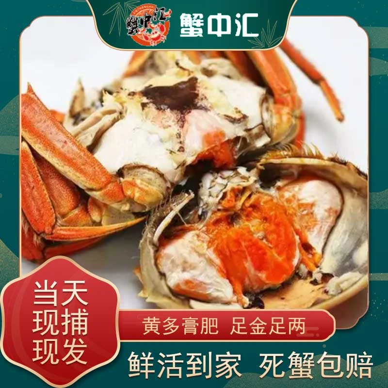 【活蟹】蟹中汇苏州大闸蟹母蟹2.4-2.7两共8只顺丰京东海鲜