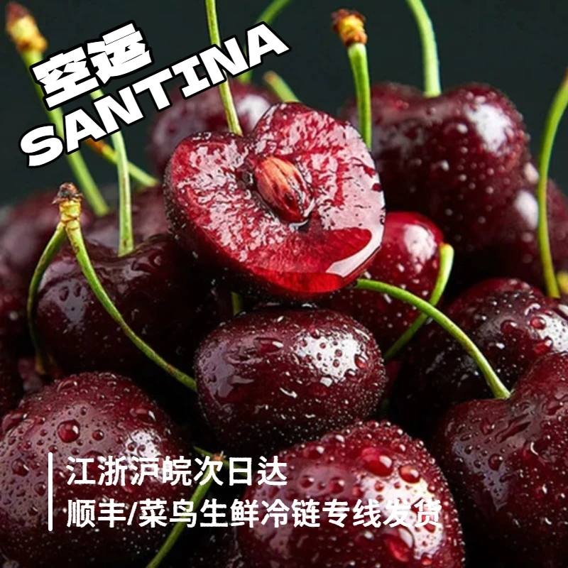 【生鲜专线次日达NB】2JD/1922桑提娜5斤空运智利进口车厘子内附果径卡桑提娜樱桃智利共和国