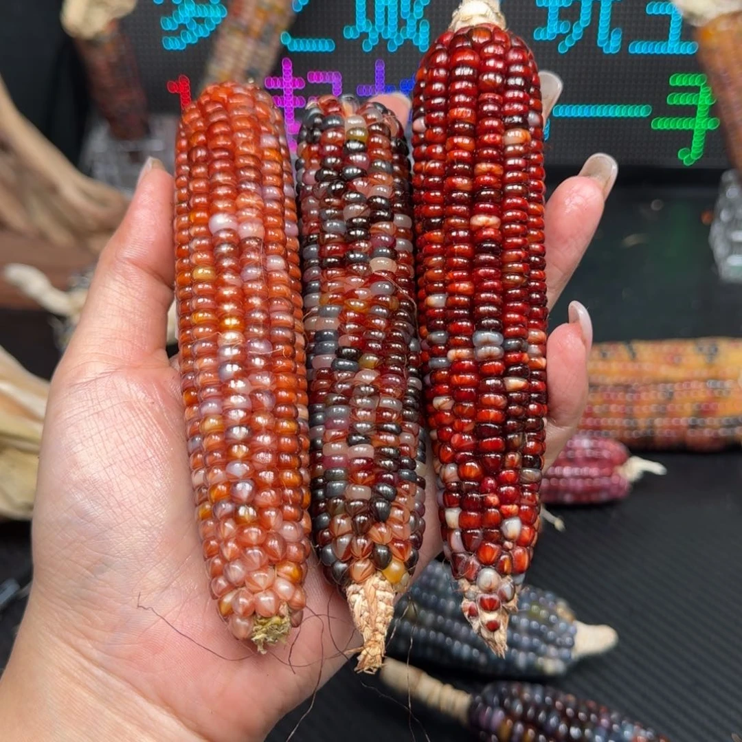 柏香籽/百香籽吊坠念*