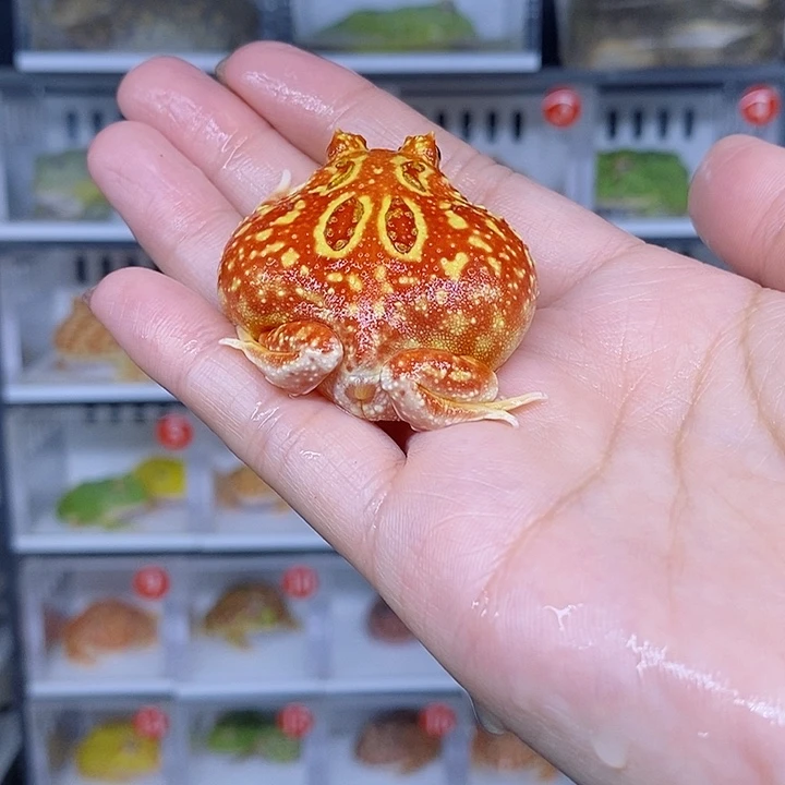 特价秒杀现货特价残