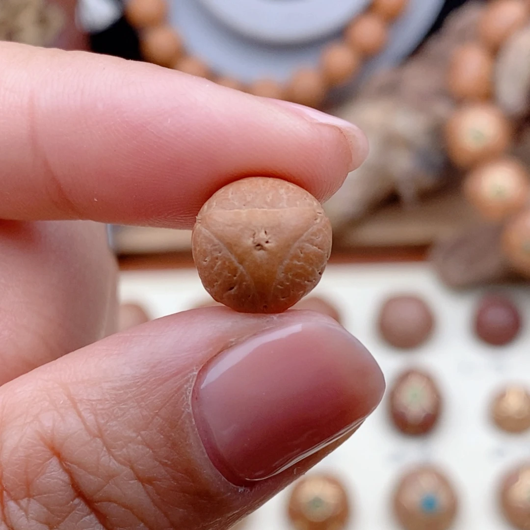 龙眼菩提吊坠云***.龙眼