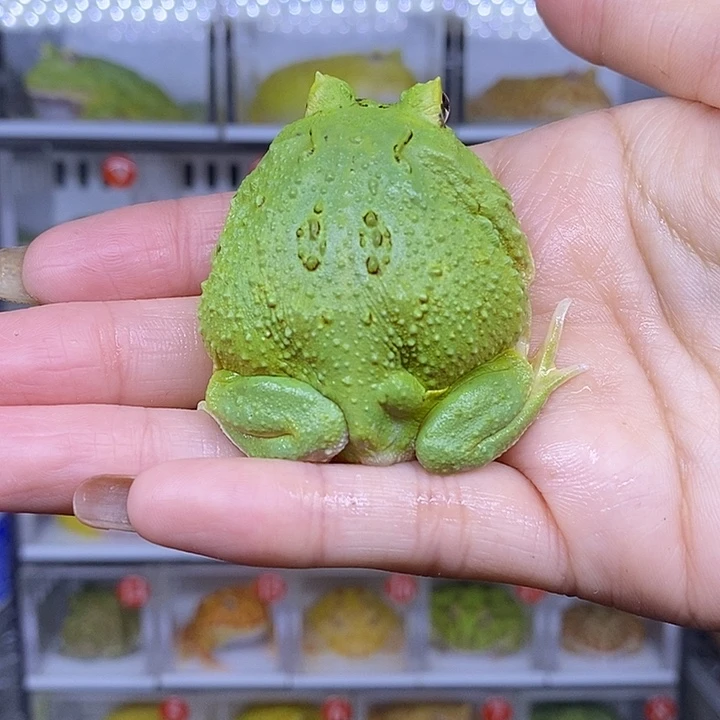 特价秒杀现货特价