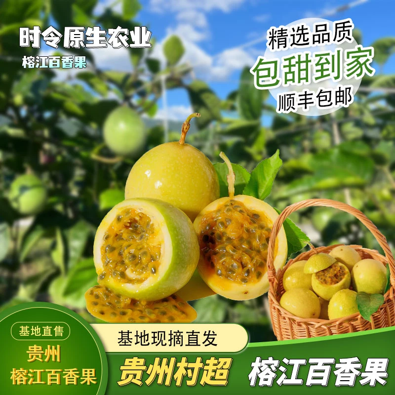 贵州榕江村超黄金百香果“钦密9号”当季水果现采现发（拍4斤送1斤）