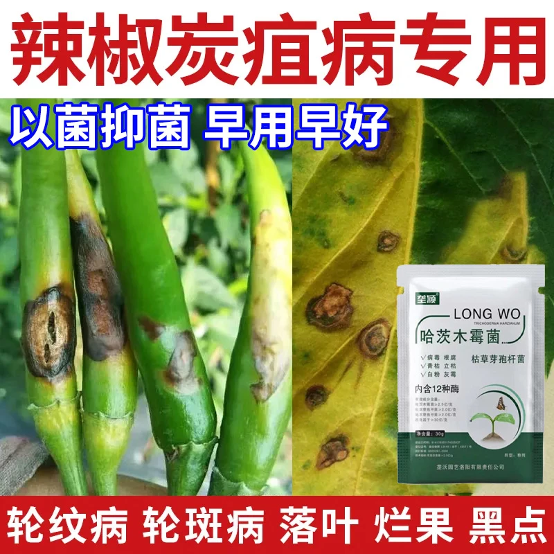 辣椒炭疽病专用水溶叶面肥轮纹病轮斑病落叶烂果黑点以菌抑菌肥料