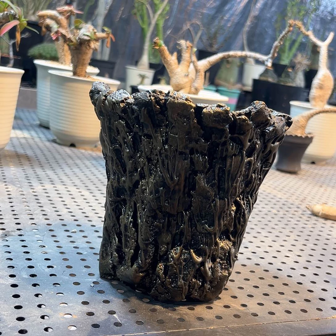 L*O1111111111111111111