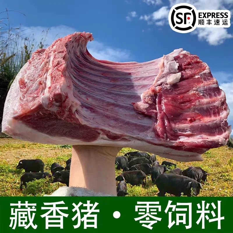 3衡阳山里散养不吃饲料的跑山猪，藏香猪，蕨麻猪肉，无激素粮食喂养