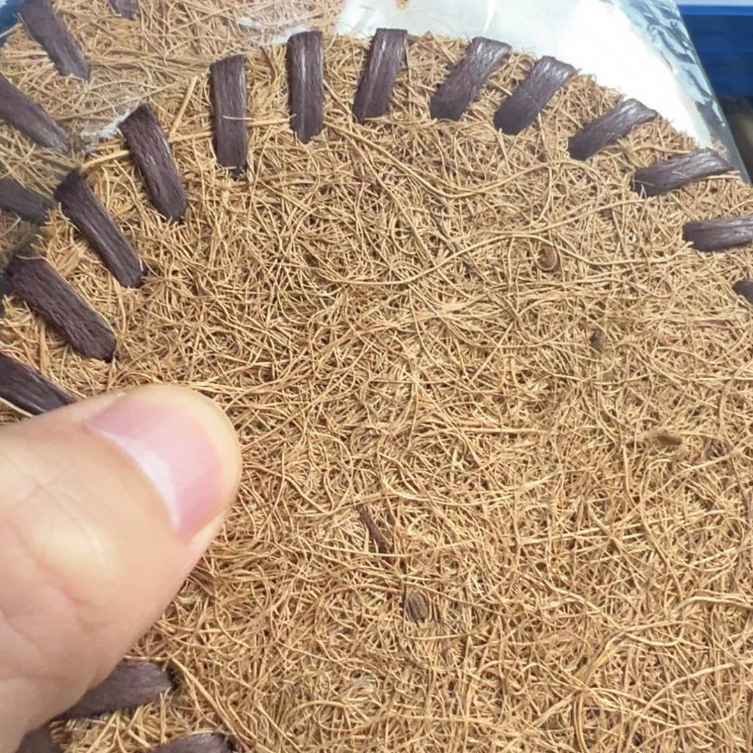 茶文化，多样性发一