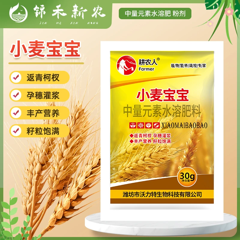 小麦宝宝叶面肥荞麦小麦种植穗大粒饱促分蘖促返青生根壮苗水溶肥