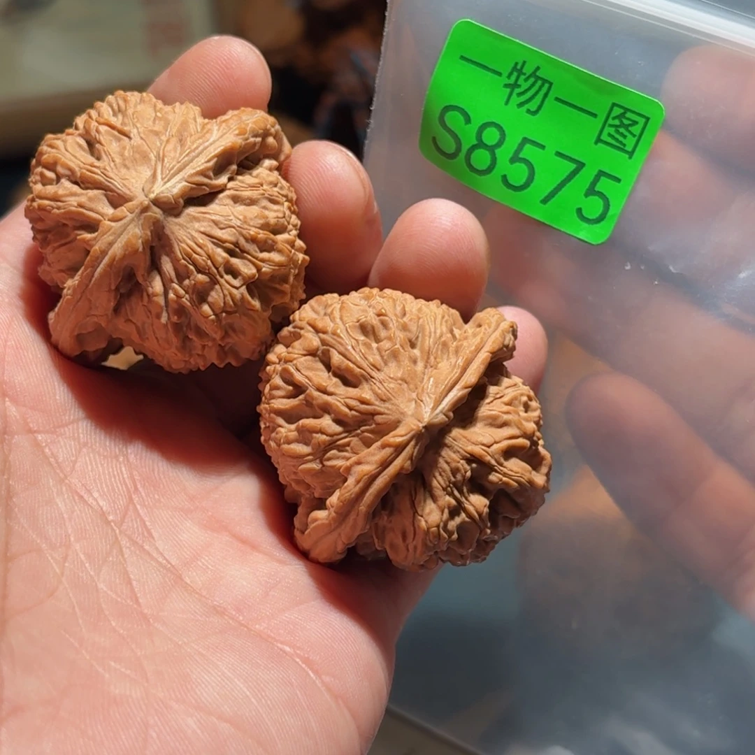 文玩核桃把件白狮子