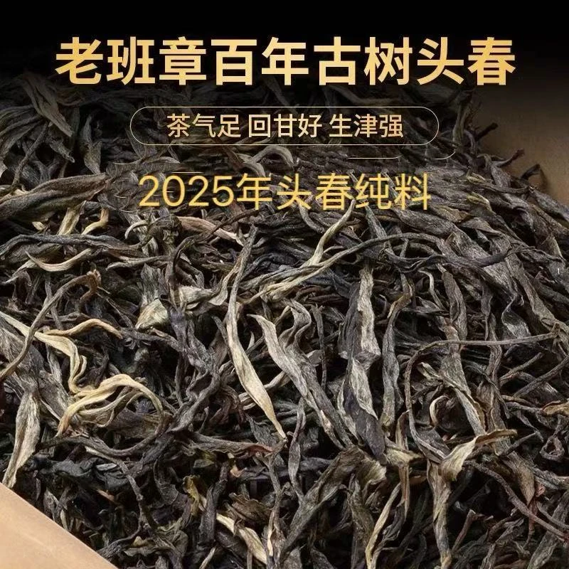 【敦煌甄选】2025头春纯料 老班章 散茶 普洱茶生茶