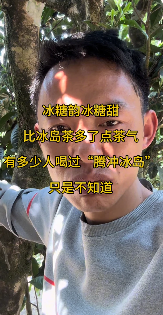 上下播新茶友数据款