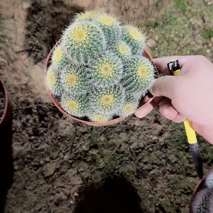 梦****锦哈哈哈哈哈哈哈哈哈哈