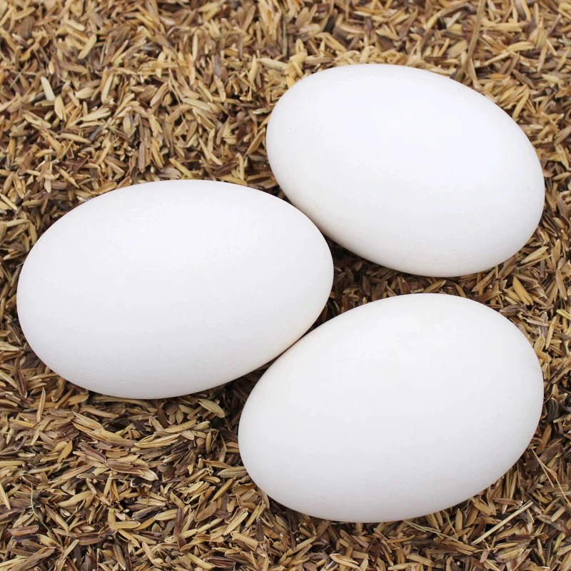 顺丰 次日达 山东莱阳鹅蛋 散养土鹅蛋 120g左右 12枚