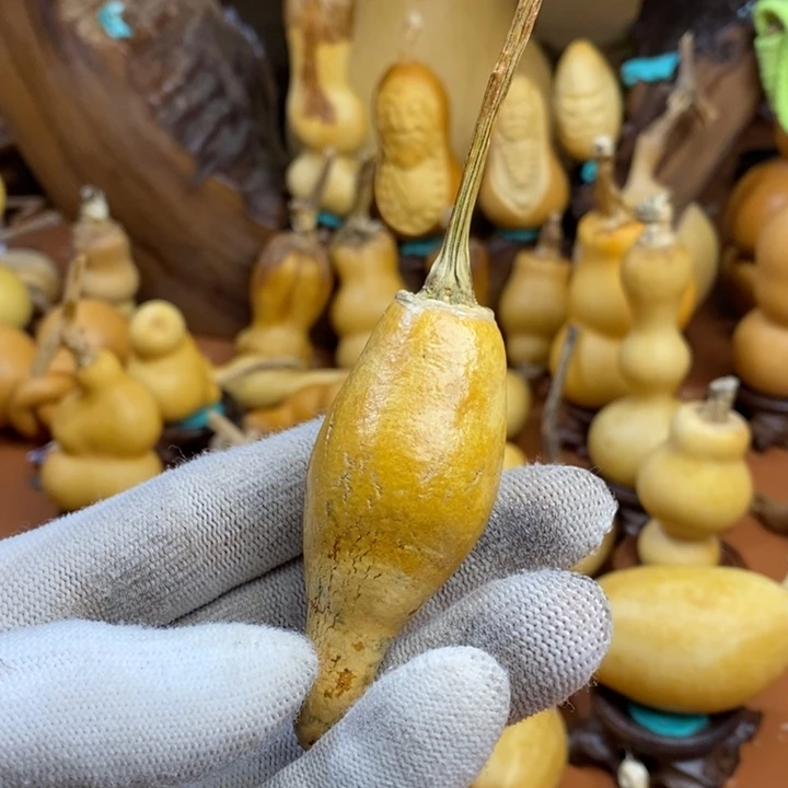 三***少咯咯嘛教练咯咯学校