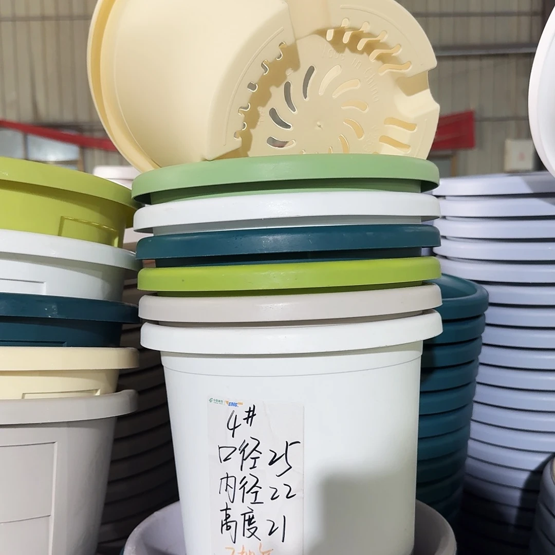 微瑕4#口径25无拖米黄5个