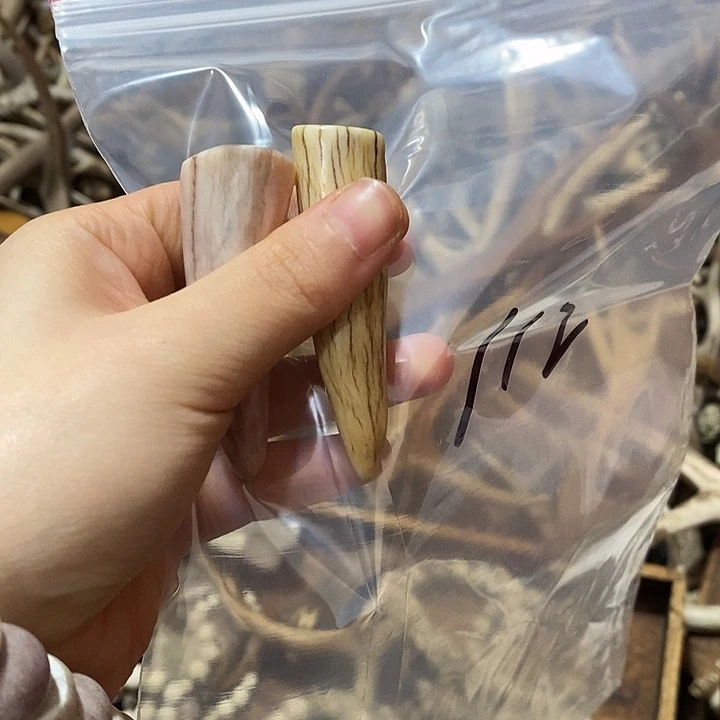 任***姓非金属鹿角鹿角鹿角