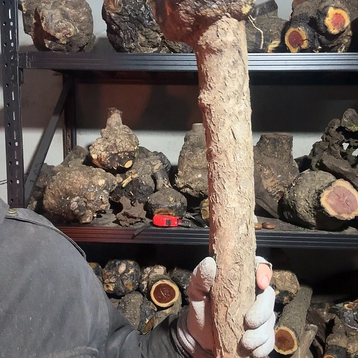 形***路香榧木火琉璃的故事是一场