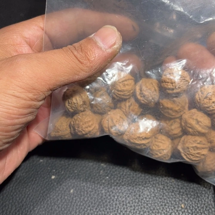 桃核吊坠风*野生小核桃5