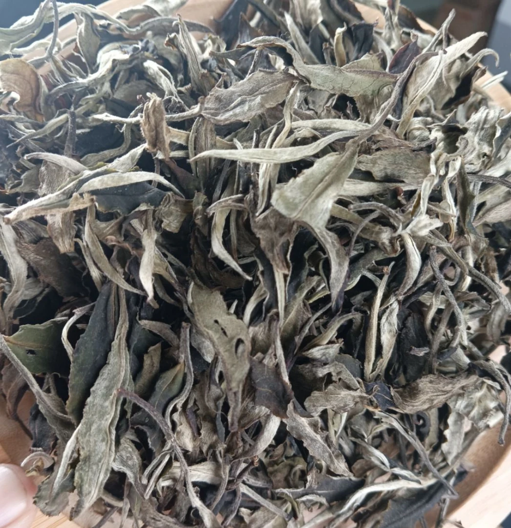 【小余精选】2024年芭蕉林生态白茶 云南白茶（散茶）