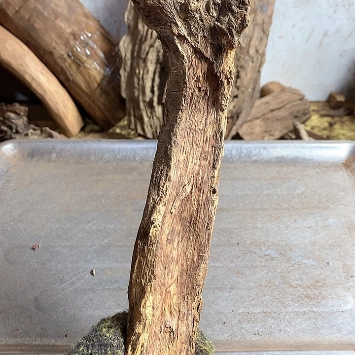 花梨木类三****粉海南黄花料