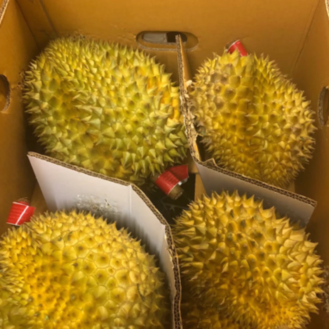 32.8泰国金枕鲜榴莲整果
