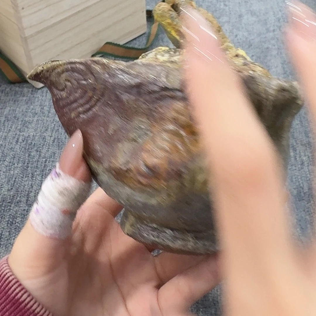 非常美丽漂亮的物品