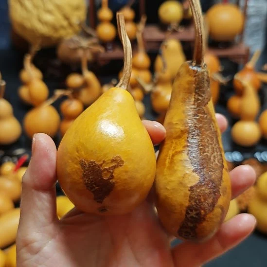 *****直播间链接葫芦葫芦