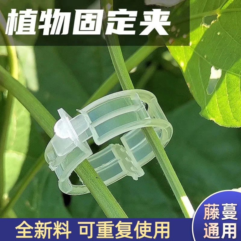 【新店福利】爬藤蔬菜矫正牵引扣花盆大棚菜园绿植枝干扶蔓固定夹