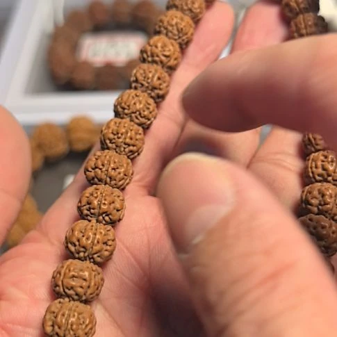 金刚菩提把件老树王小金刚手持，下水去黄，原皮原色