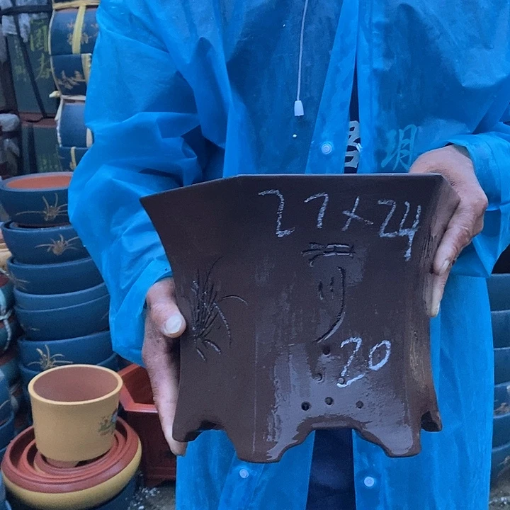 紫砂花瓶紫砂花盆盆栽植物