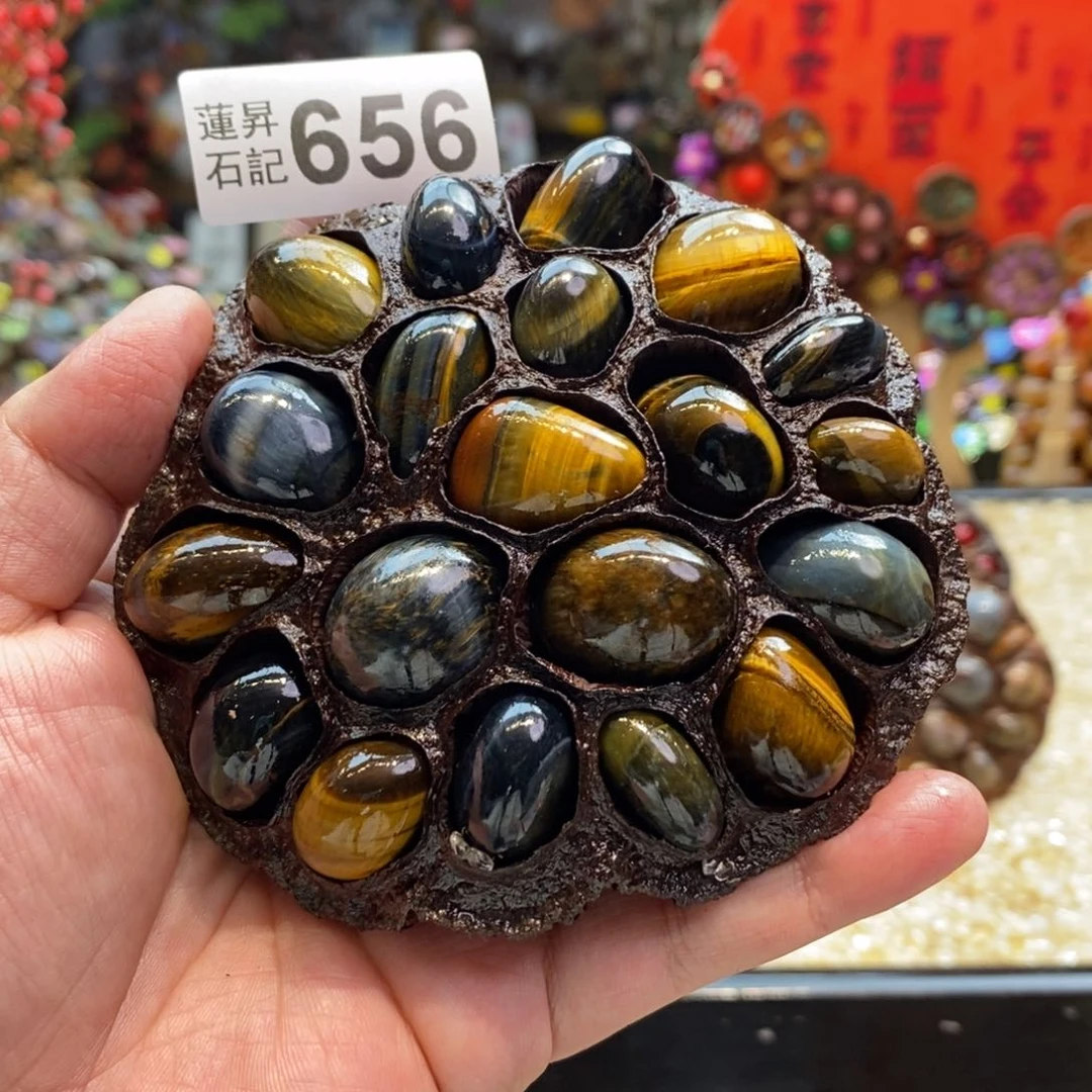 核桃木/黑胡桃（胡桃木）杨**菲656