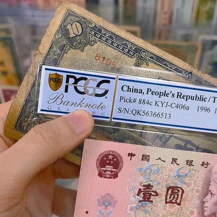 书***富12名81952骆驼十啊啊啊啊