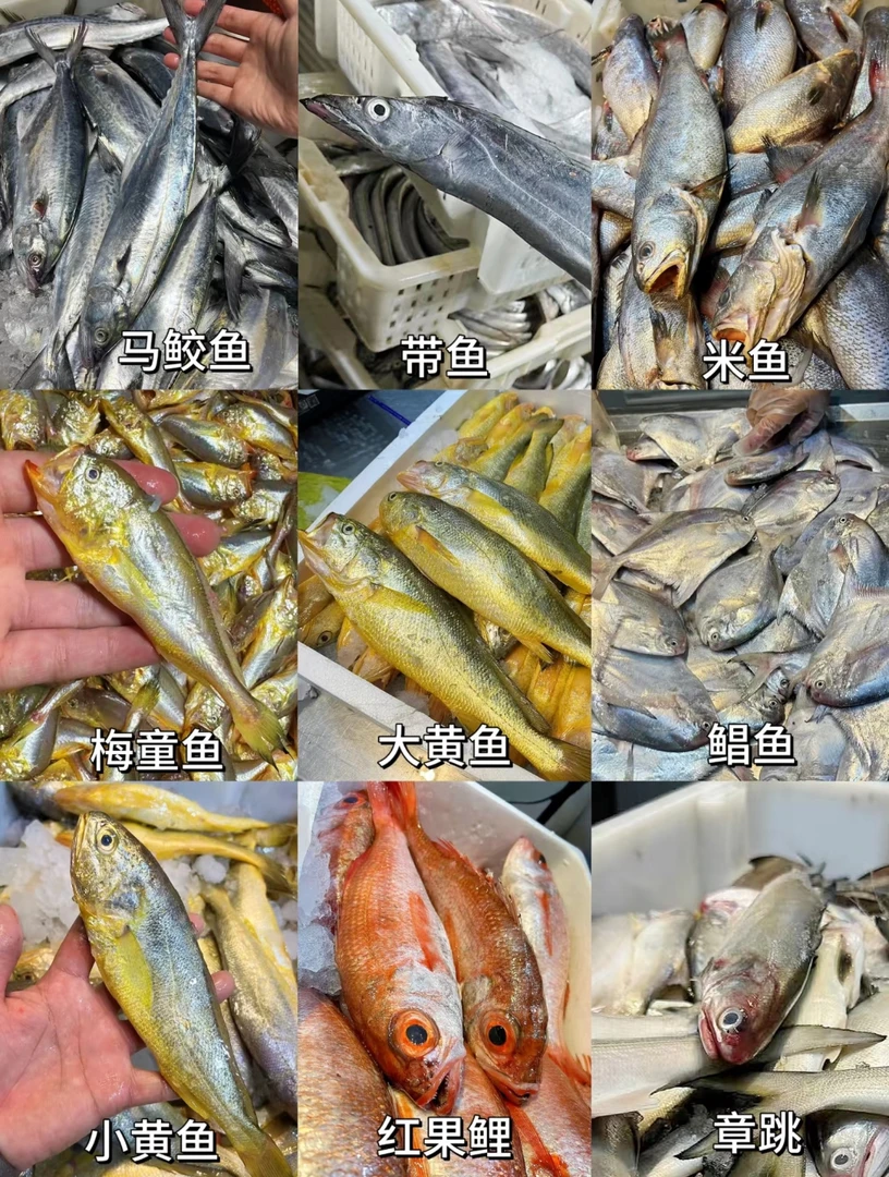 1号直播间现改现秤野生海捕鱼虾蟹（不支持退）