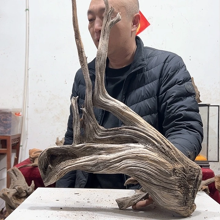 柏木?*味我们的生活也会