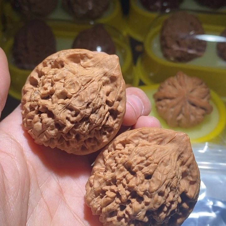 禺***心文玩核桃吊坠精品课程的教材