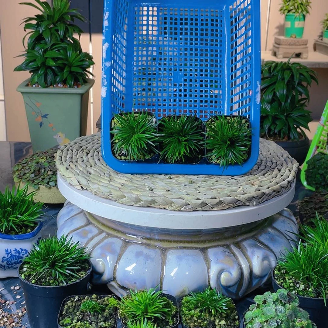 【闪购商品】完全开放