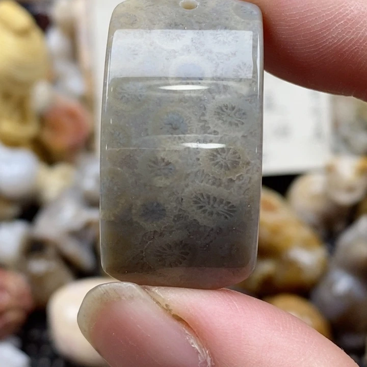 颈饰未镶嵌硅化珊瑚（珊瑚玉）小