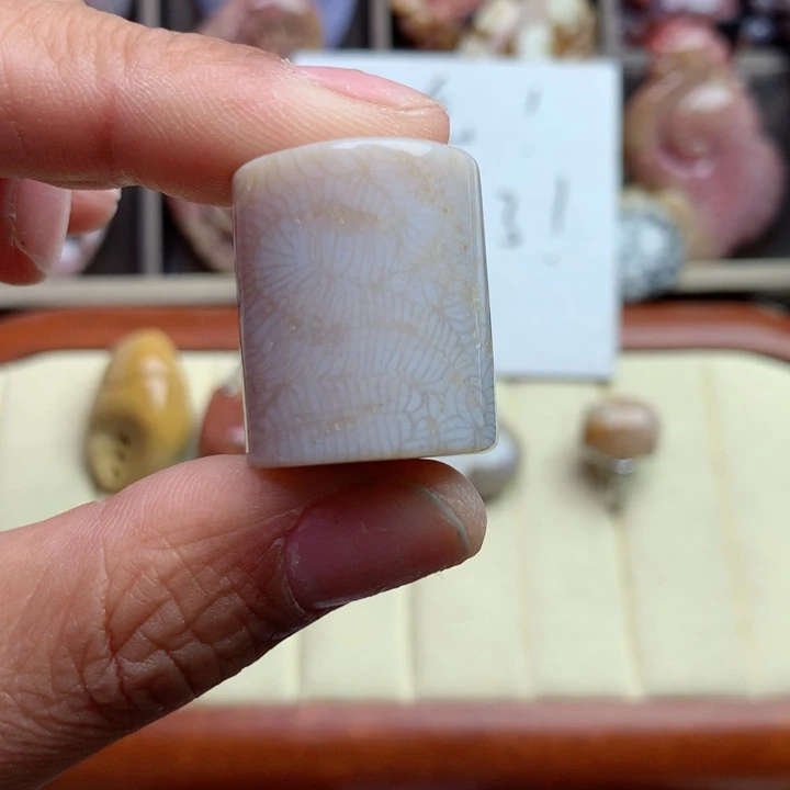 硅化珊瑚（珊瑚玉）颈饰未镶嵌