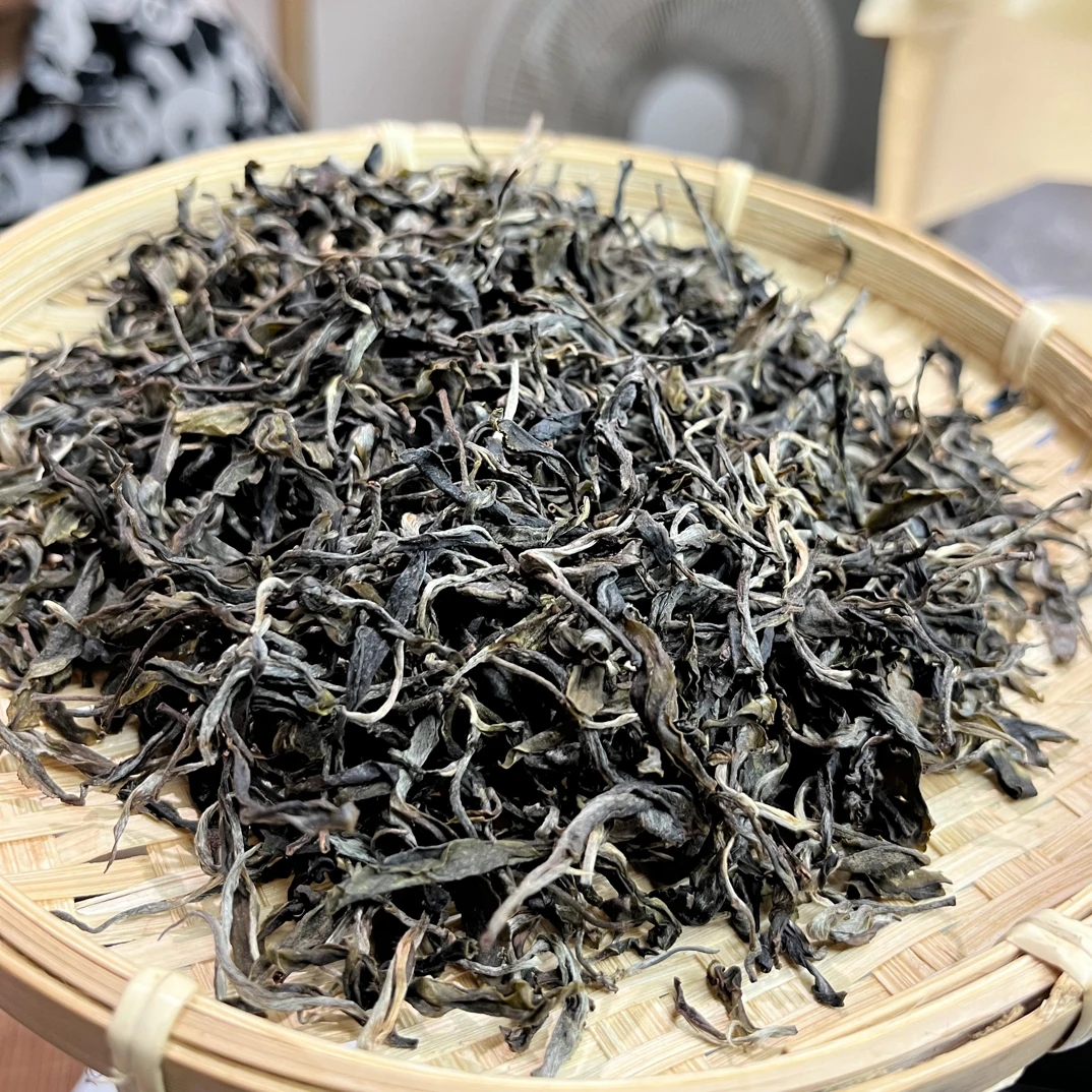 2025年普洱茶倚邦细叶子古树
