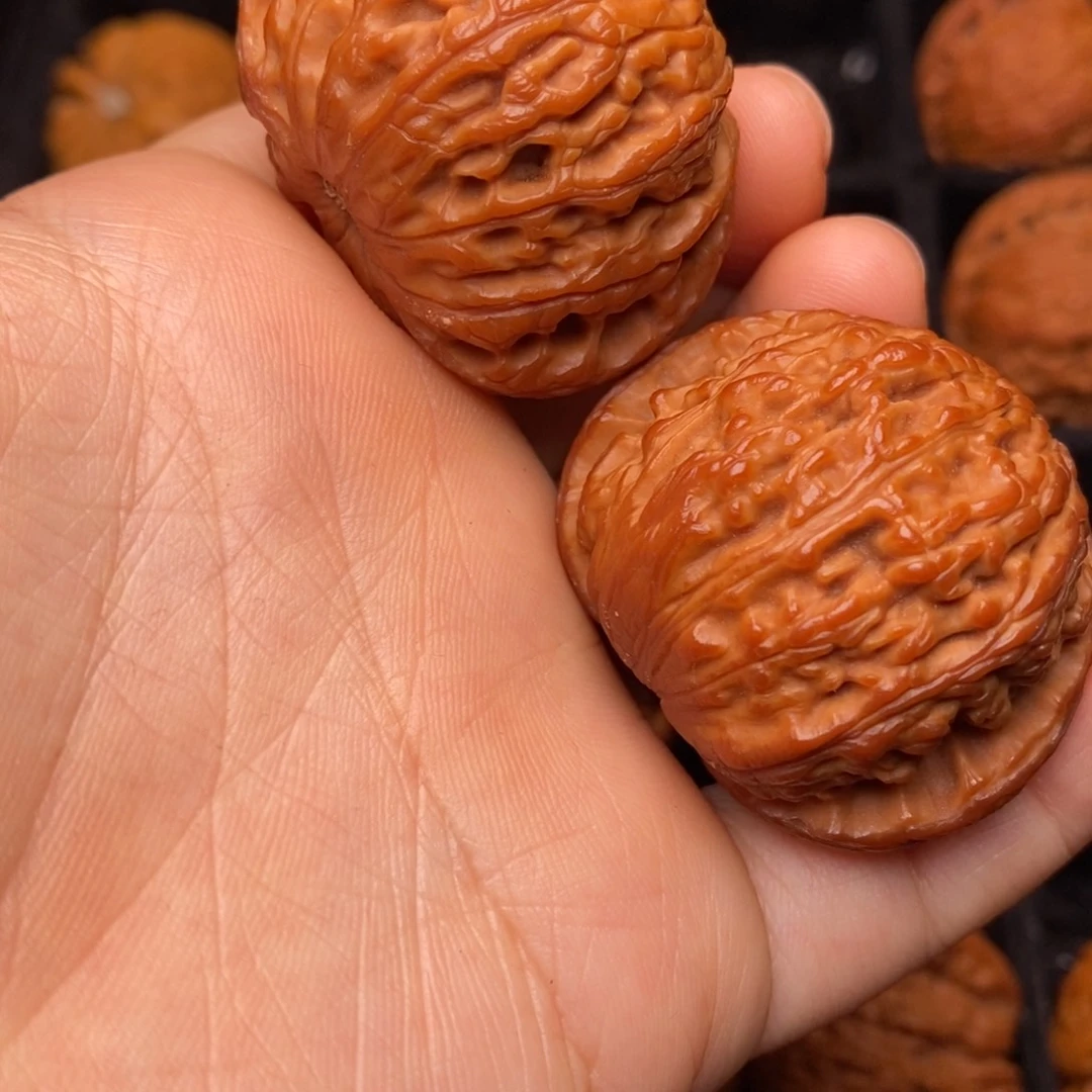 秦岭野生文玩核桃