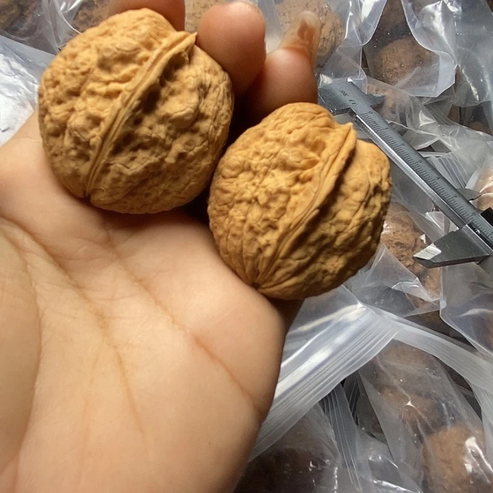 吊坠文玩核桃铁核桃卧龙37m