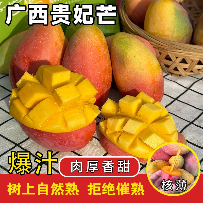 【自然熟】广西百色贵妃芒果5斤9斤核薄肉厚多汁新鲜现摘当季鲜果