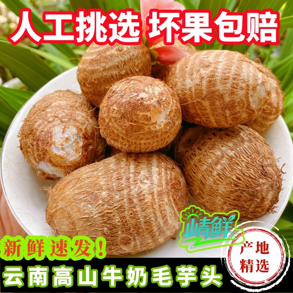 云南牛奶芋头高原山地新鲜蔬菜香糯软糯农家现挖皮薄芋艿细腻