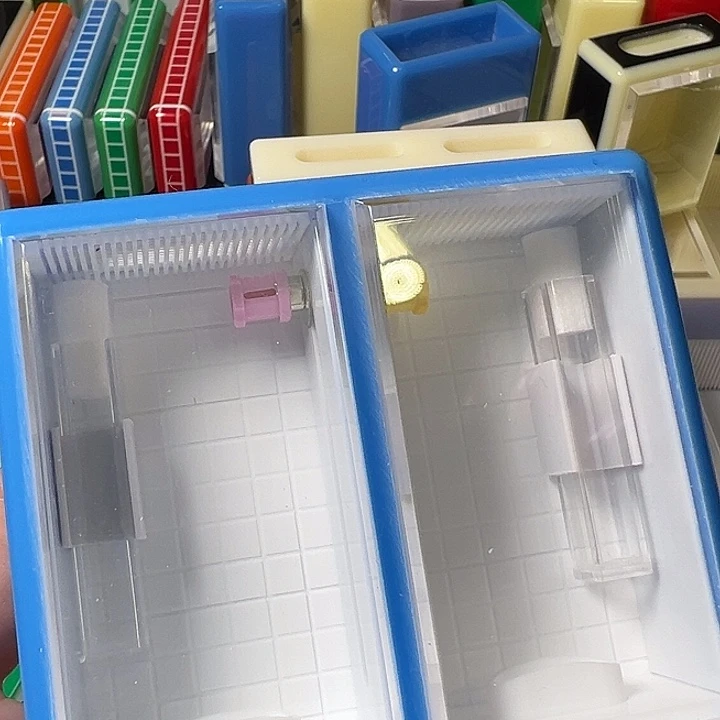 蟋蟀无虫哈哈哈哈哈哈哈哈