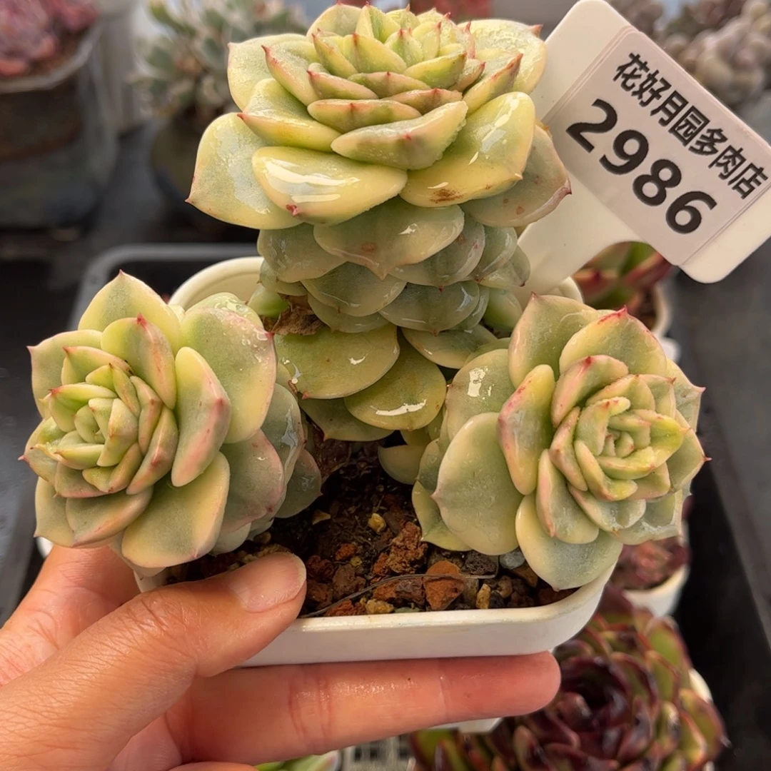 2986 满30包邮天冷地区必拍保温箱