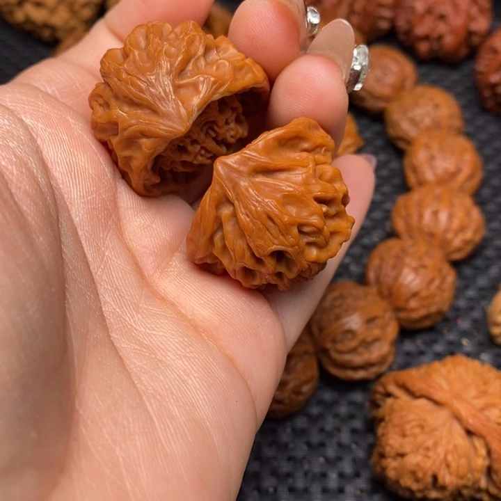 秦岭野生00000010